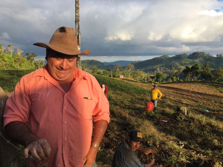 Swing's Coffee Premium Coffee Roaster since 1916