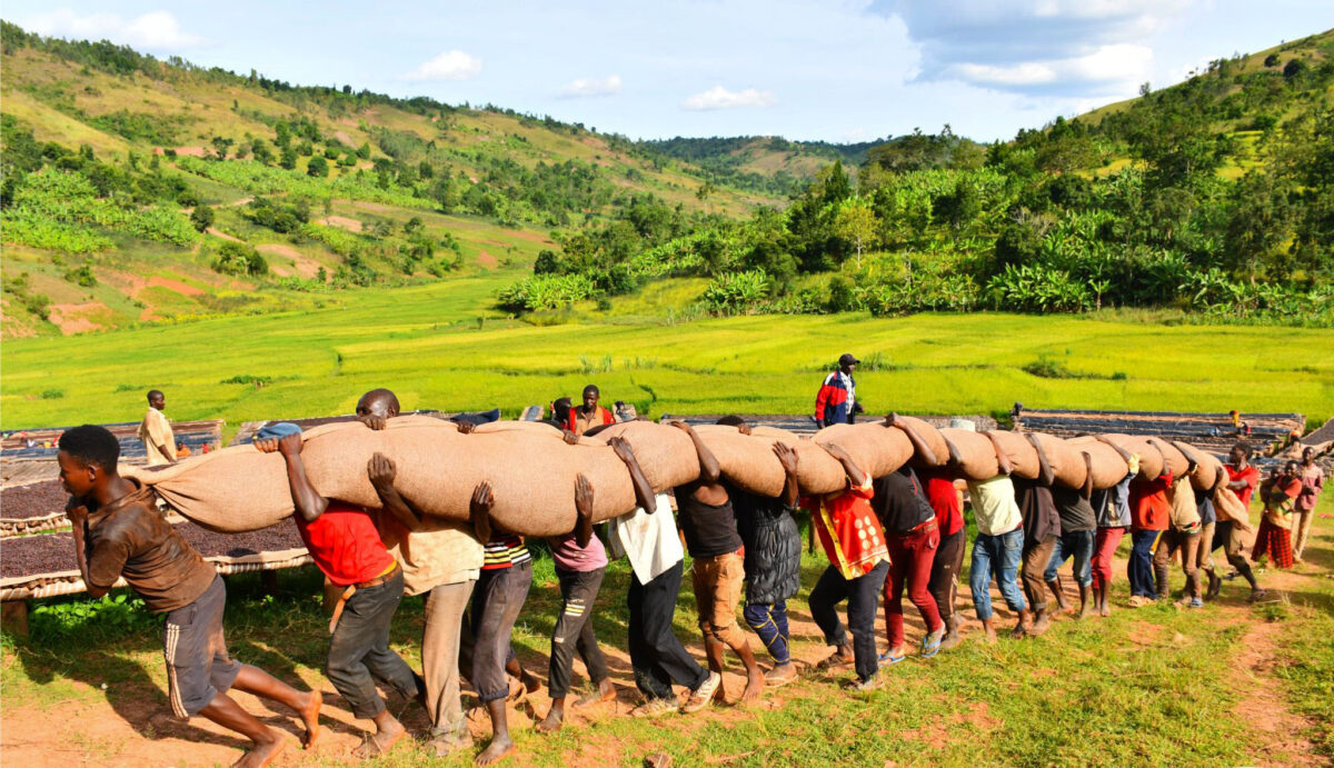 Burundi Hafi Natural - Image 2